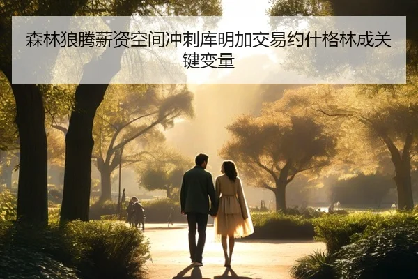 森林狼腾薪资空间冲刺库明加交易约什格林成关键变量